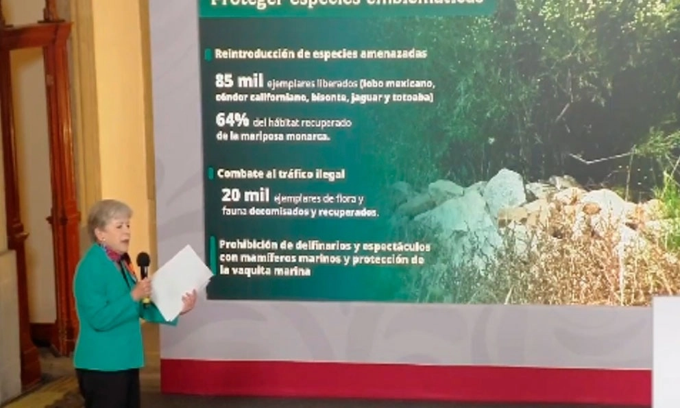 Decomisa Gobierno federal 20 mil ejemplares de flora y fauna en aeropuertos; reporta Semarnat liberación de 85 mil especies