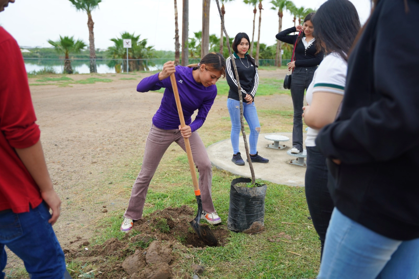 SUPERA GOBIERNO MUNICIPAL LOS 5 MIL ÁRBOLES PLANTADOS A TRAVÉS DE ARBOLEANDO NLD
